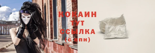 стаф Белокуриха
