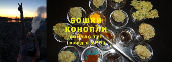 амф Богородск